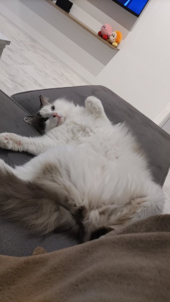 そはら tweet media