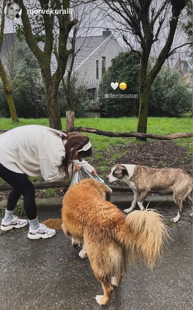 devozkanasigi_ tweet media