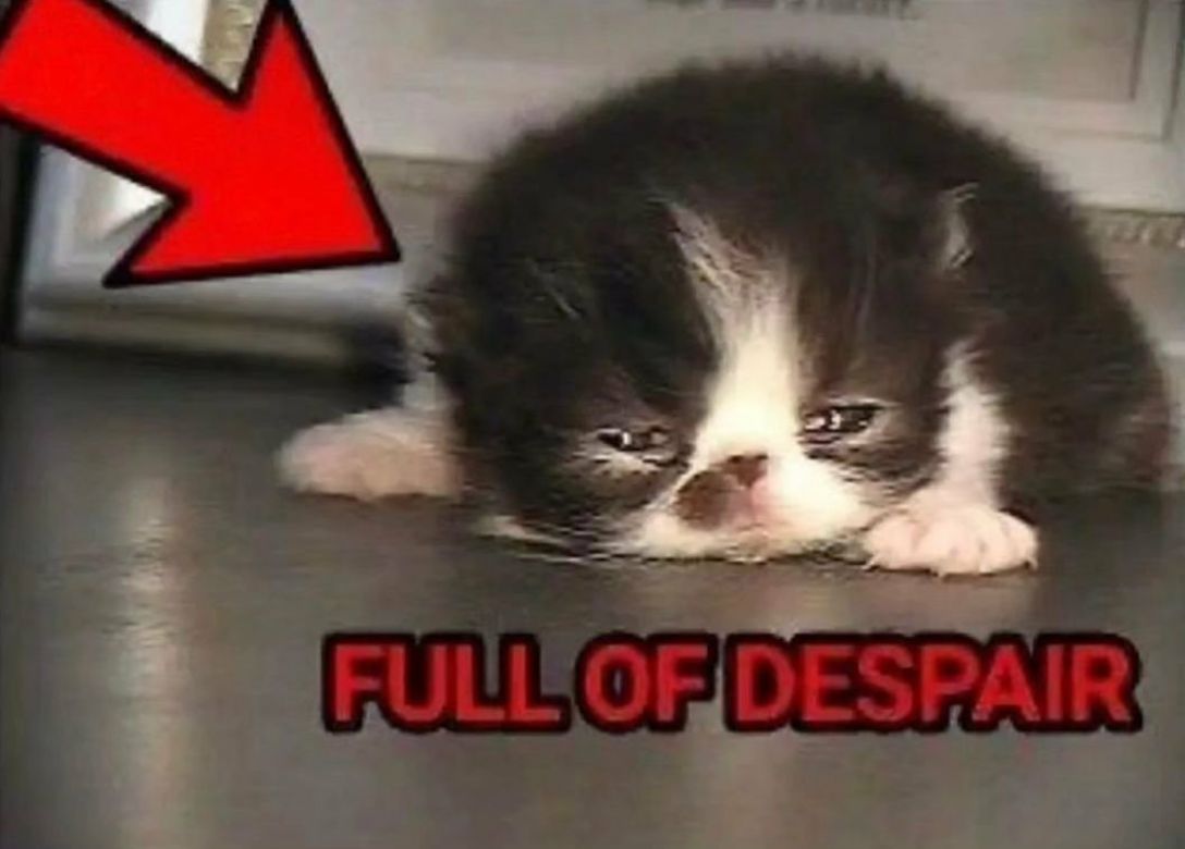 SlasherAmaya 🔞(open commissions) tweet media