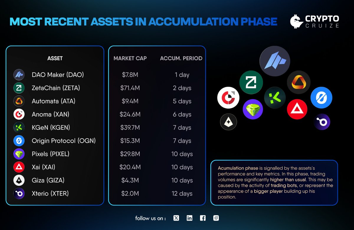 CryptoCruize tweet media