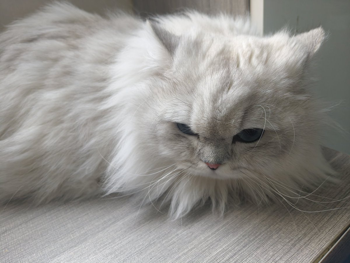 人你很òᆺó烦，咪不想理你