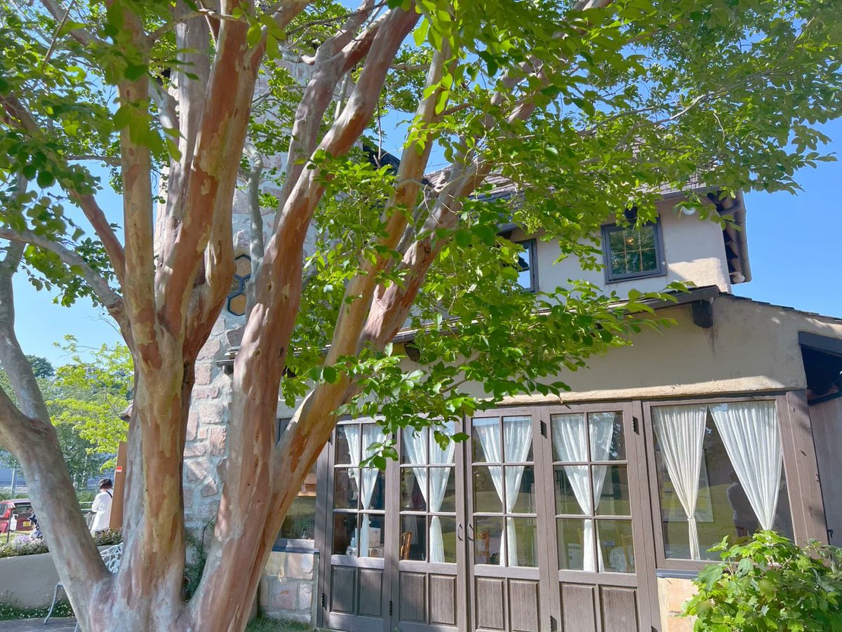 angela cervantes tweet media