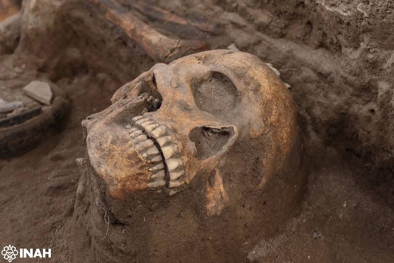 herreleo's tweet photo. #Hidalgo especialistas del @INAHmx confirmaron el #descubrimiento de un #altar, #ofrendas humanas, #vestigios arqueológicosy restos de muros, durante los trabajos de construcción del tren de pasajeros CDMX-Qro, en el tramo de #Tula, el hallazgo se hizo muy cerca de la zona arqueológica de #Tula, y las primeras revelaciones indican que lo encontrado pertenece a la fase de la antigua Tollan entre los años 900 y 1150 d.C. el lugar se mantiene bajo manejo de arqueólogos. @Azteca_Hidalgo @AztecaNoticias @adnnoticiasmx