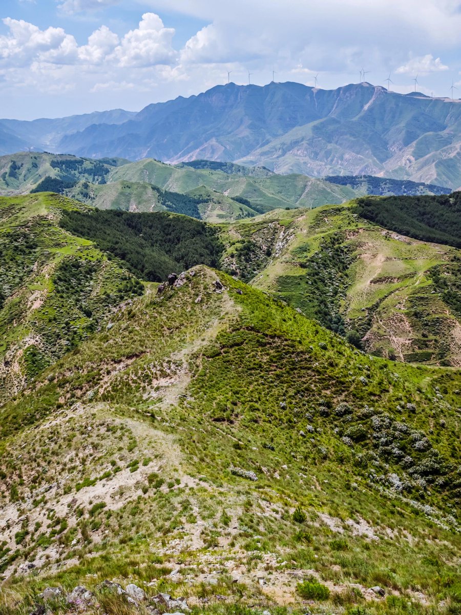 RichardCoelho xavier tweet media