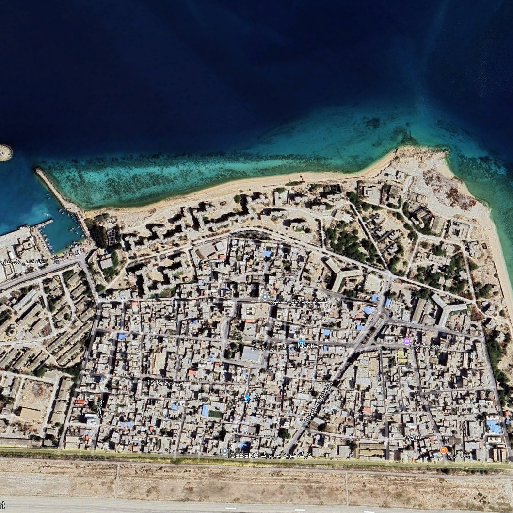 david D. tweet media