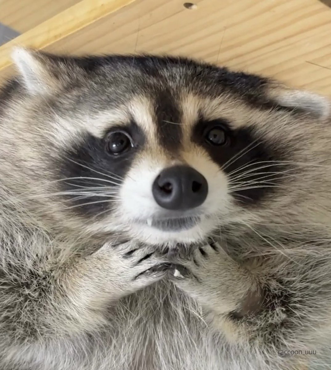 粒粒餡子 tweet media