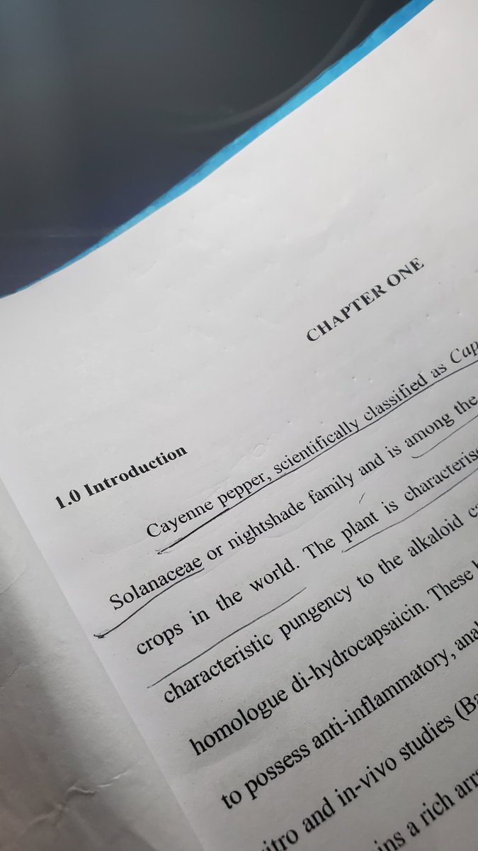 Netrovert 🦊 tweet media