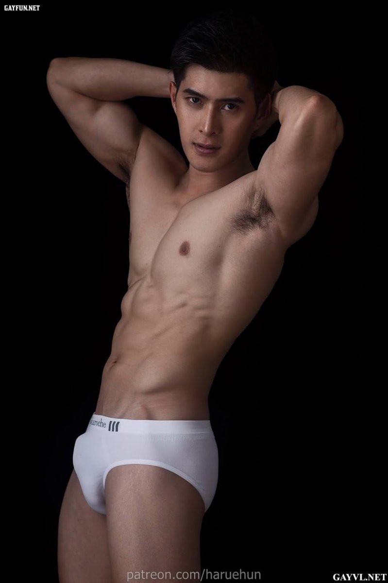 Shorthair_86 tweet media