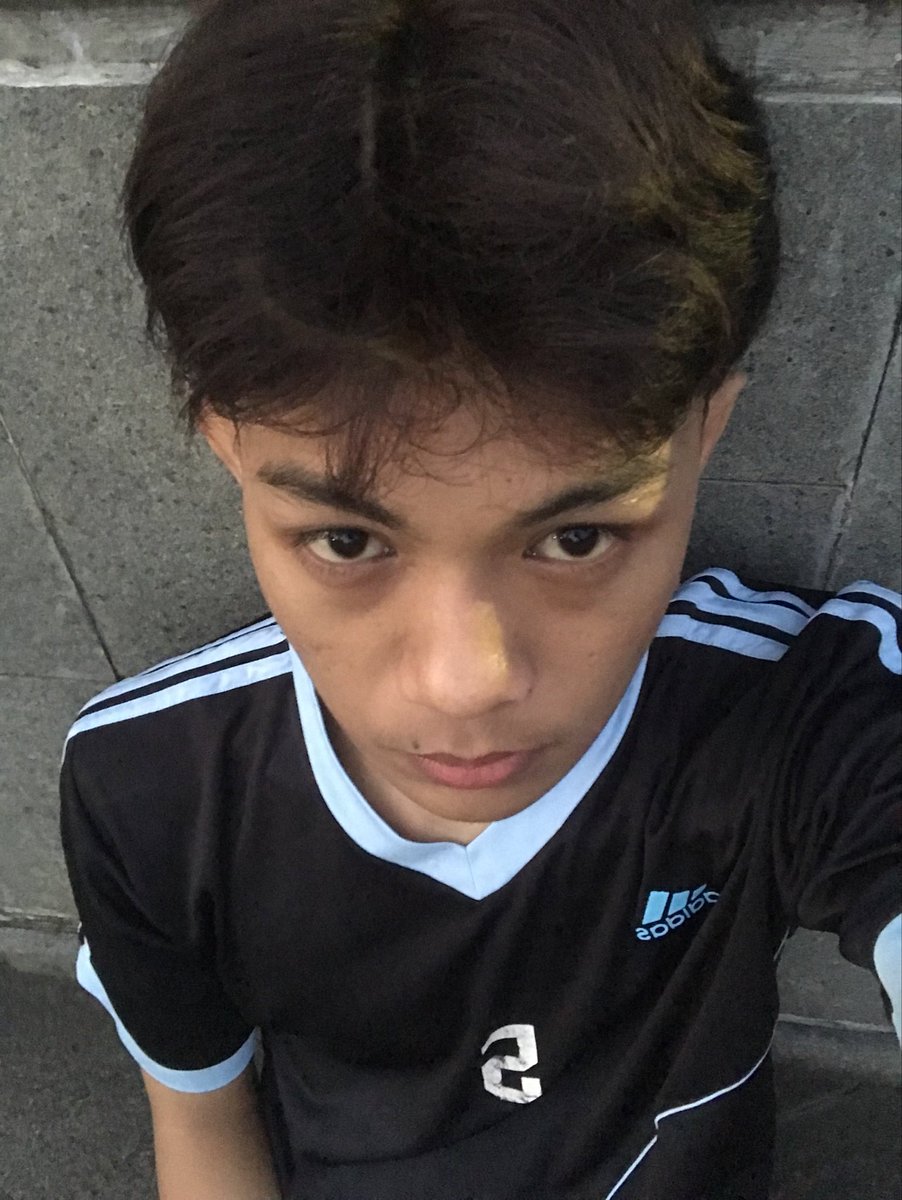 warmbird tweet media