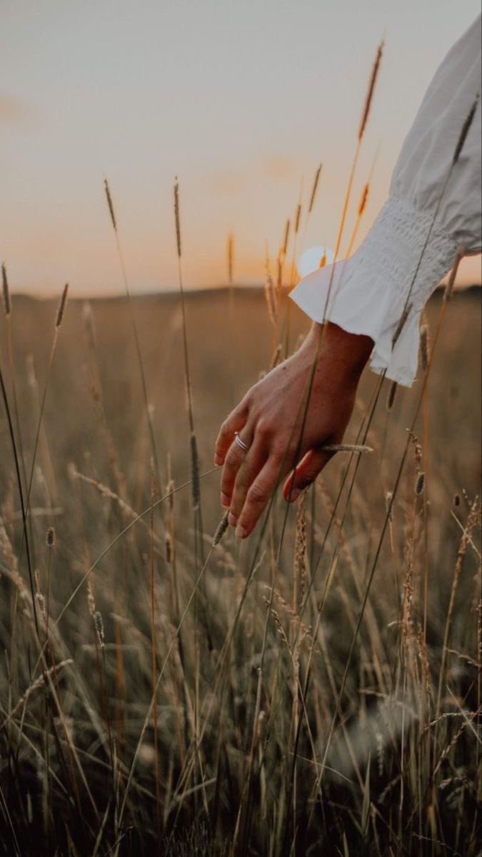 ۆ̯͡ط̯͡ن̯͡ .•🇸🇦🕊️ tweet media