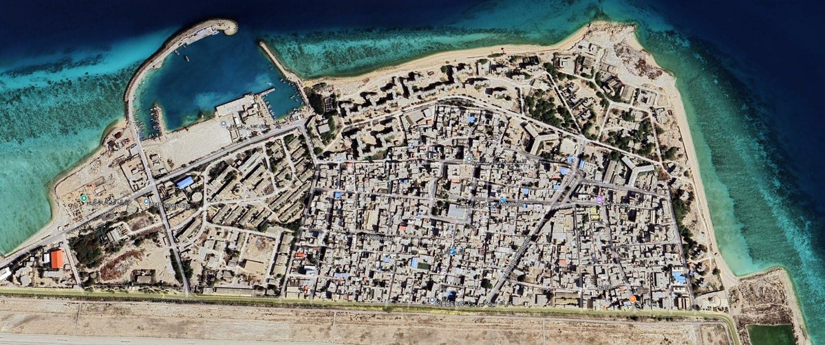 david D. tweet media