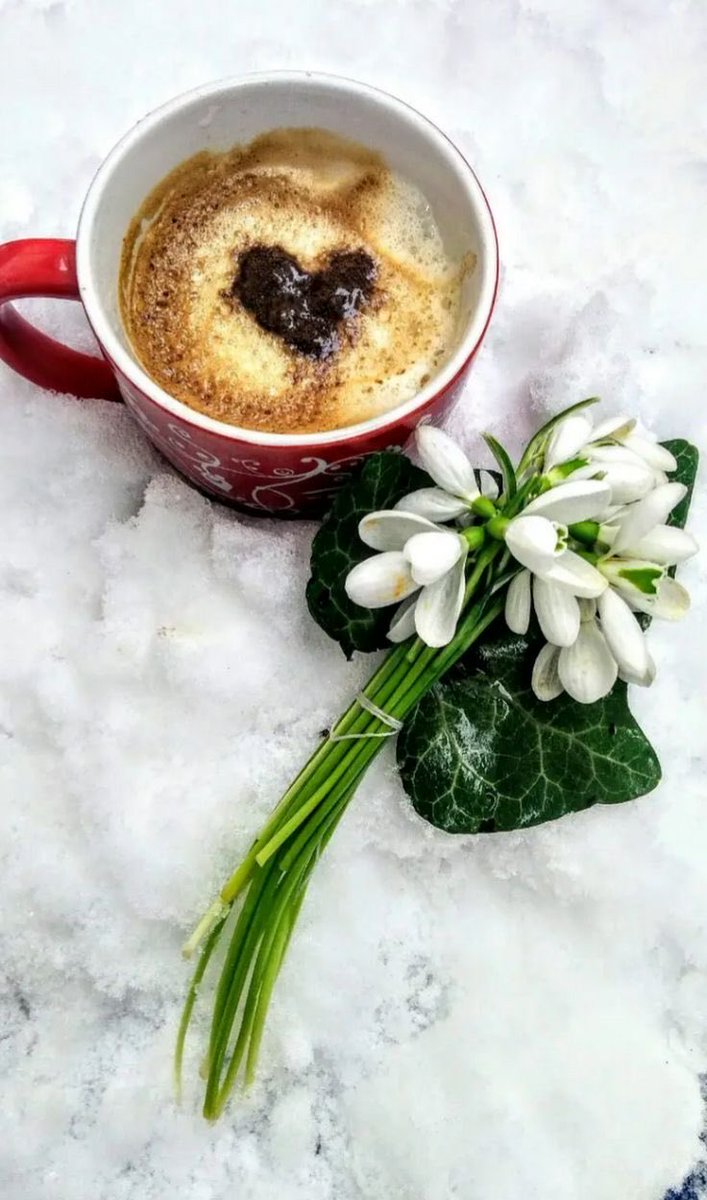 Radica Kovacevic tweet media