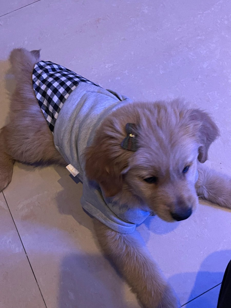 Happy&Satisfied tweet media