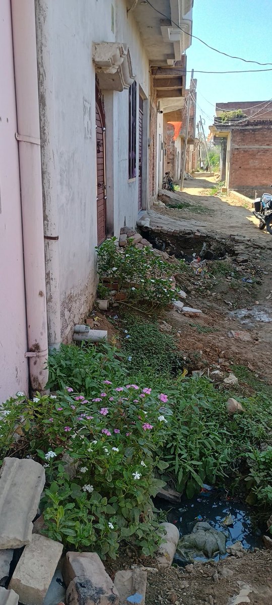 DineshRathour8's tweet photo. @myogiadityanath @dm_sitapur @rakeshguru916 
हाल-ए मोहल्ला
यहां न तो तो पानी निकास है और न ही गली बनी है। विकास के नाम पर गैस और पानी की पाइप लाइन पड़ गई है। रोड और नाली के लिए कितनी बार शिकायत हो चुकी गिनती नहीं है। यहां के लोगों की अगर पहुंच बड़े नेता तक होती तो गली बन गई होती। https://t.co/Qkr1uIkU1U