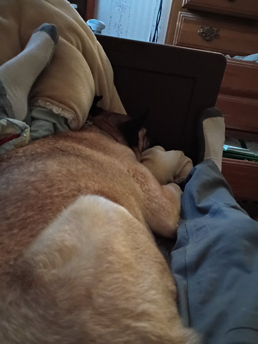 Dominic Fesi.df tweet media