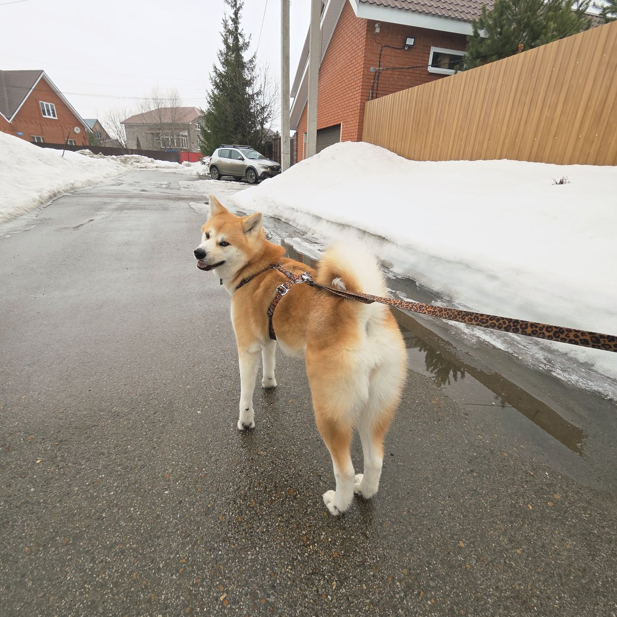 татарин из уфы tweet media