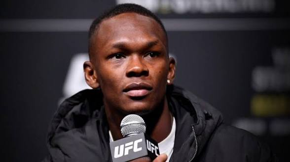 The Fight Fanatic tweet media