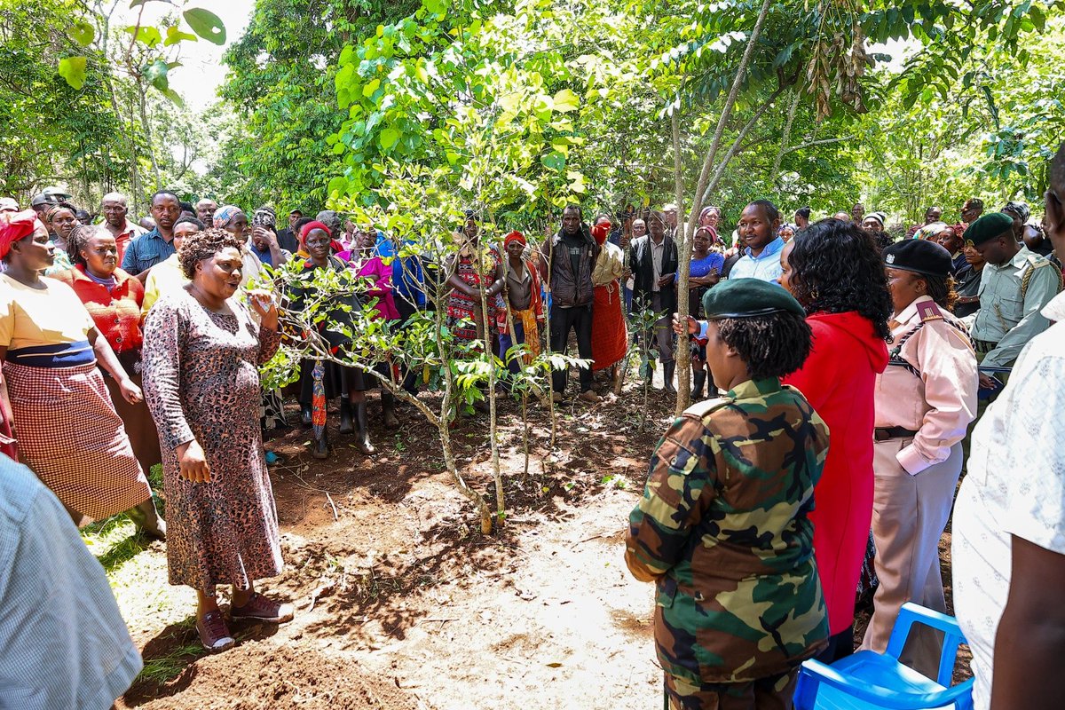 Meru County tweet media