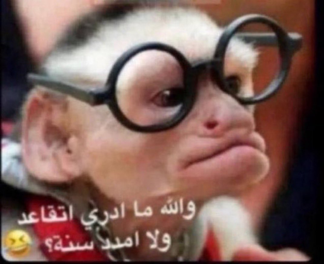 بسطام🌟 tweet media