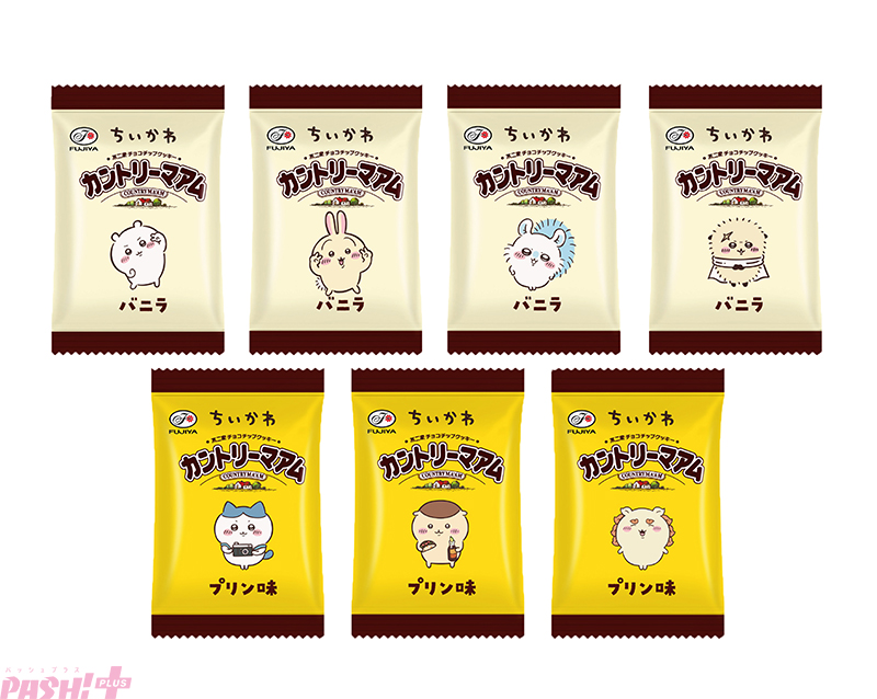 PASH!編集部 tweet media