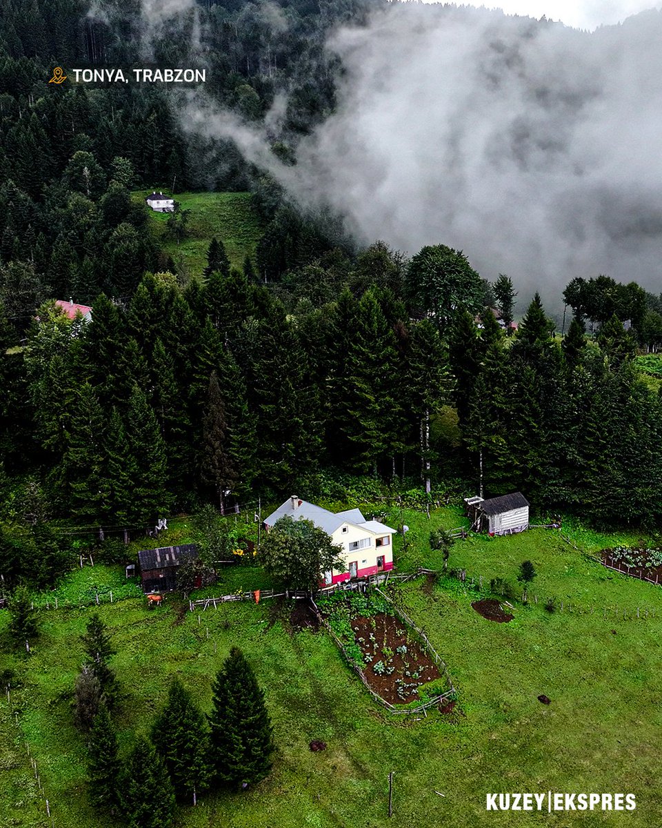 Kuzey Ekspres tweet media