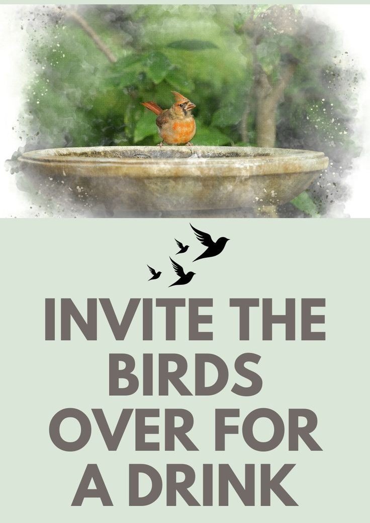 Poojab1177's tweet image. खामोशी में भी उनका प्यार दिखता है आओ, उन्हें सुरक्षित और खुश रखें।
#tadc
"UP Garib Kalyan Revolution"
#9YearsOfGaribKalyan
#Operation_Searchlight
#dogs

"Saint Ram Rahim Ji"