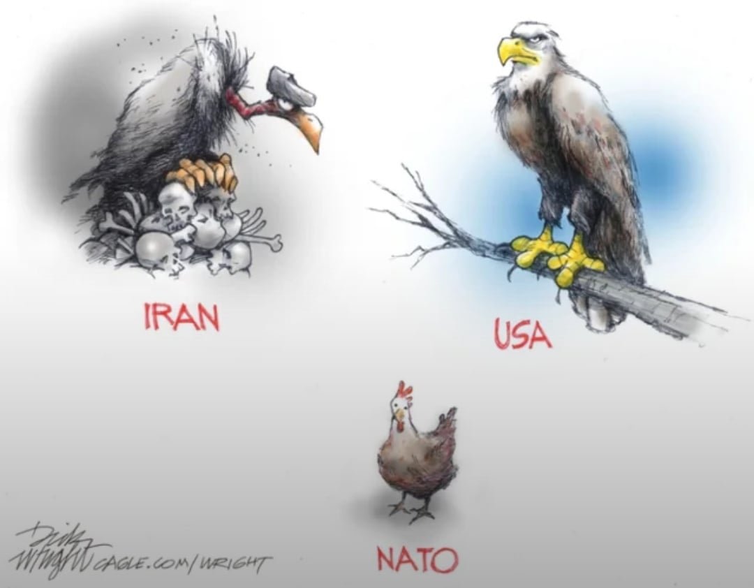 Fire And Irony tweet media