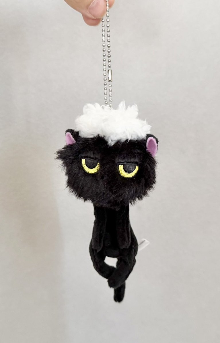 김치치 tweet media