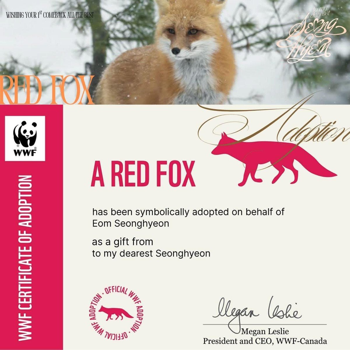 SEONGHYEON EOMMA tweet media