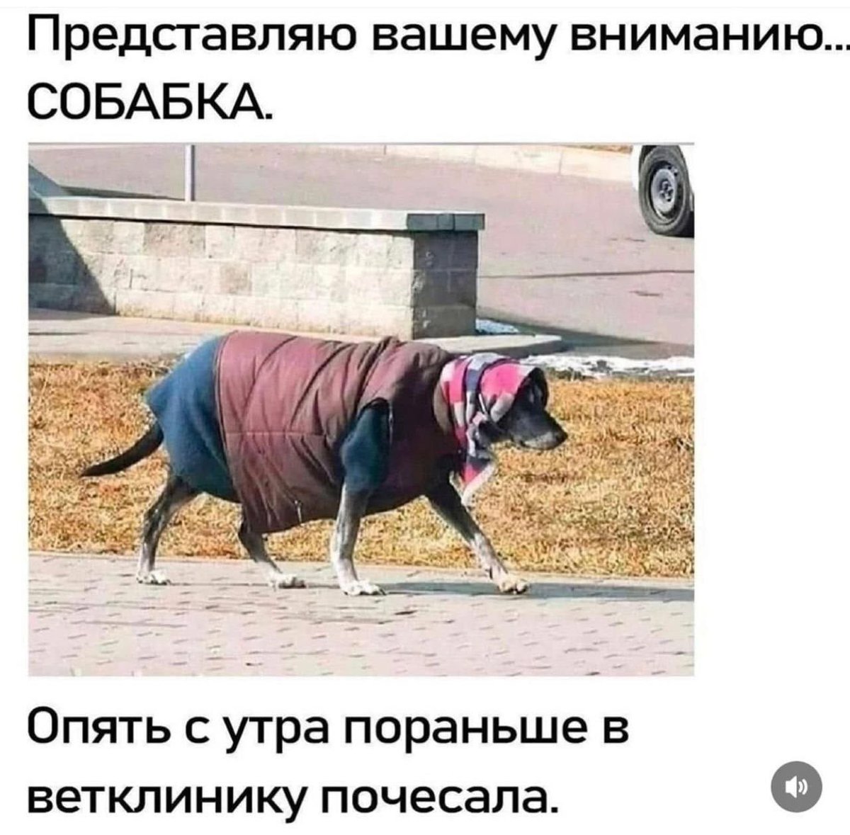 🇺🇸Коля Русский 🇮🇱 tweet media