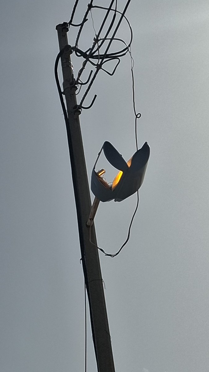 Mohammad tweet media