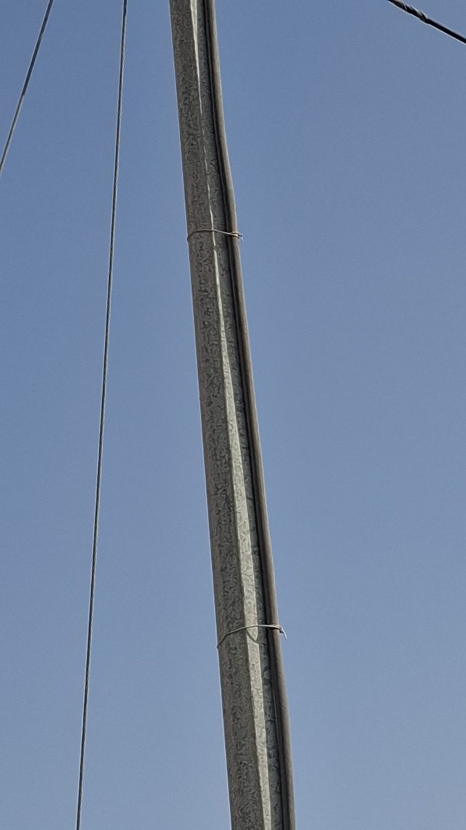 Mohammad tweet media