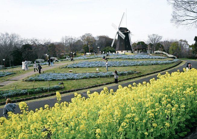 一寸帽子 tweet media