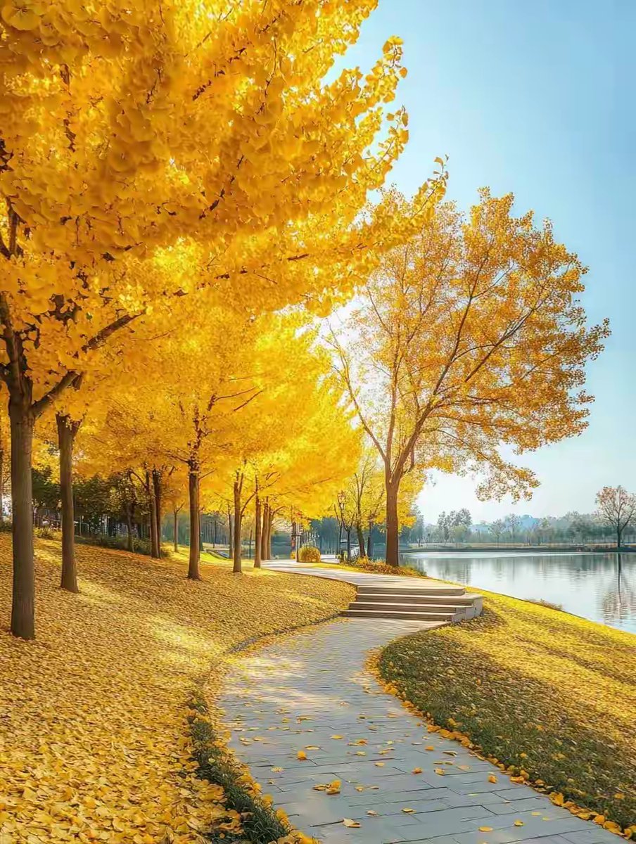 jose antonio parra  tweet media