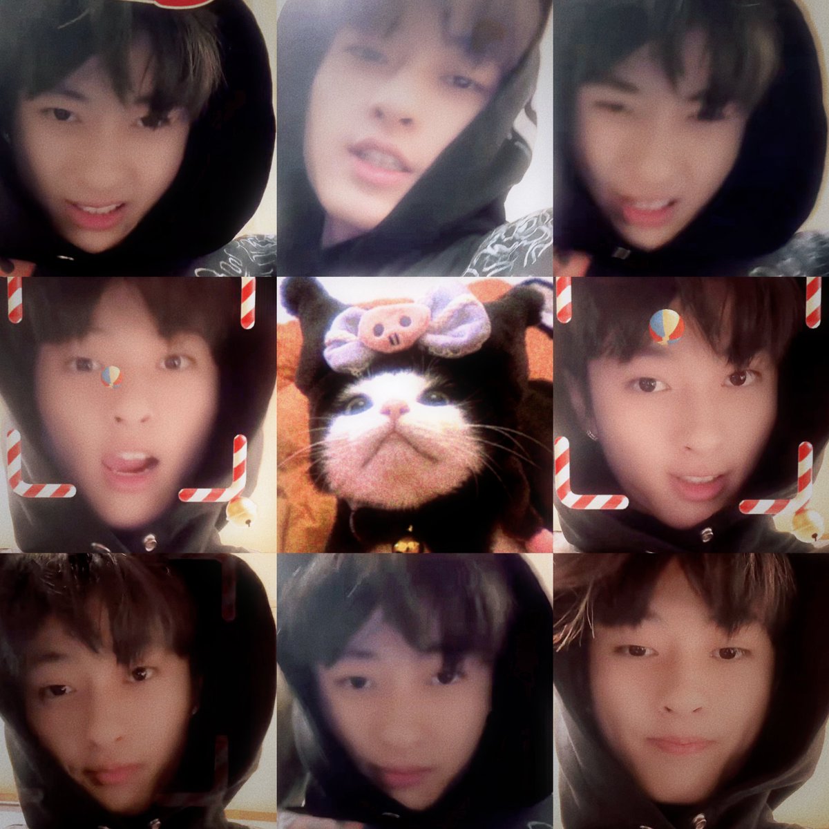 พีวี tweet media