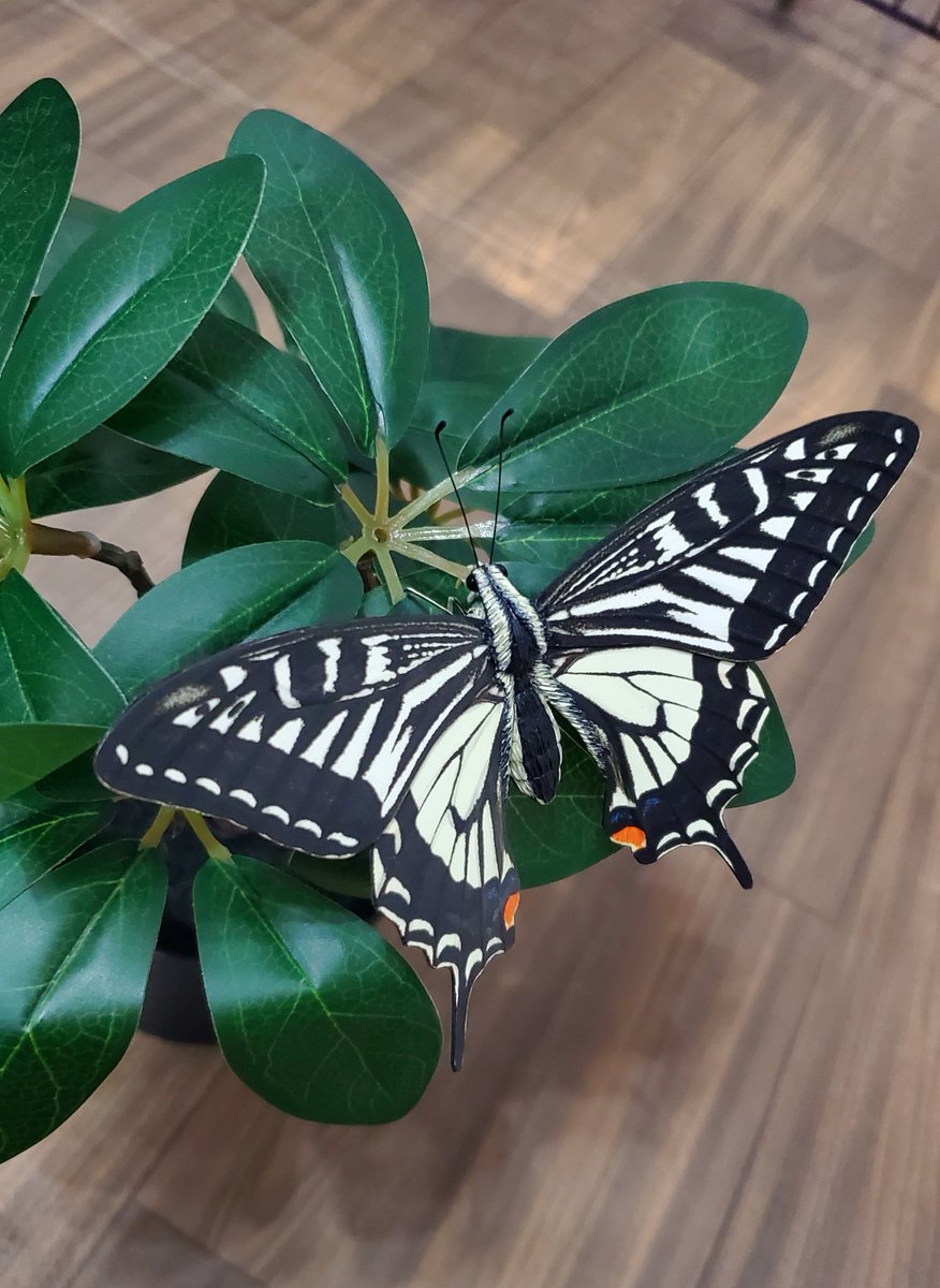 913WORKS tweet media