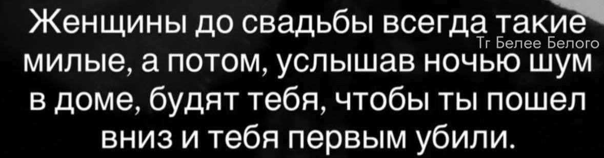 MCMLXXXIV™ tweet media