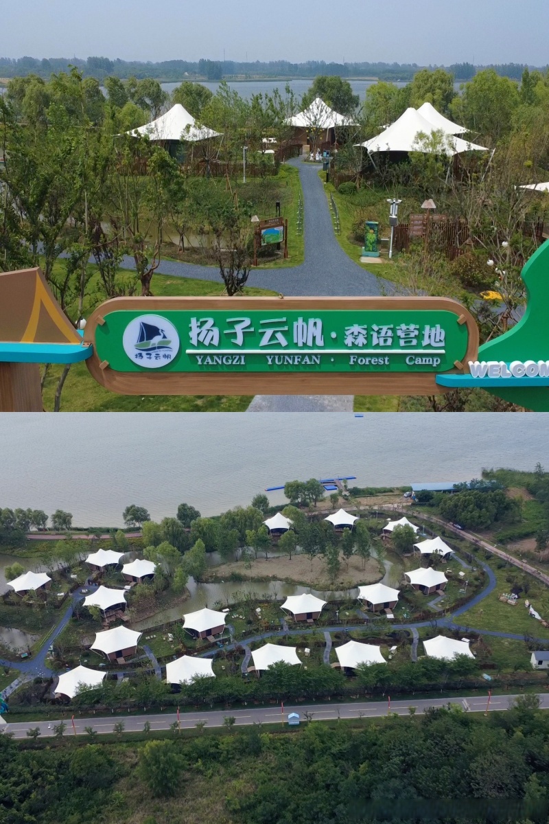 Amy Wilson tweet media