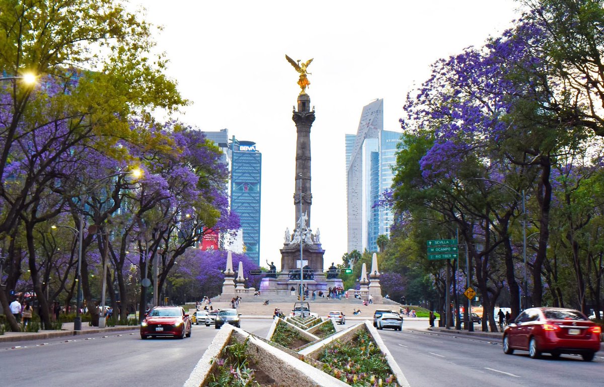 FdesdeAlturas's tweet photo. Así nuestra bella CDMX iniciando una primavera más. ¿Y a ustedes amigos? ¿Les gusta más así o en temporada navideña? Un saludo a todos. Cortesía @Tiempo_DF https://t.co/pqWKwI5AUs