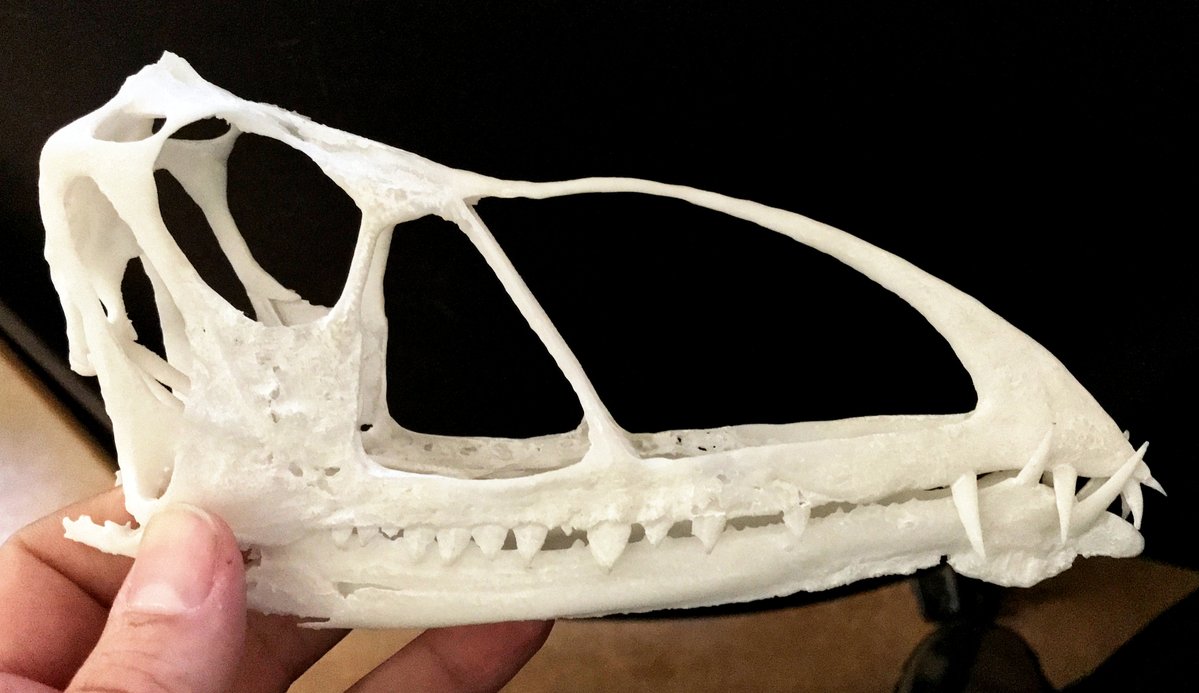 Omegafreelancer (Commissions OPEN!) tweet media