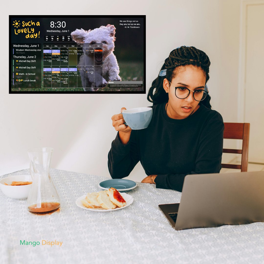 Mango Display tweet media