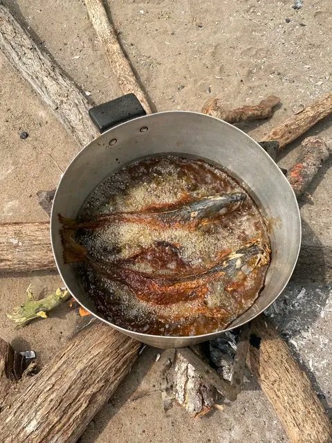 Slay Entrepreneur 🇿🇦 tweet media