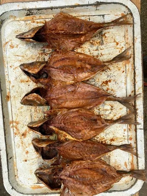 Slay Entrepreneur 🇿🇦 tweet media