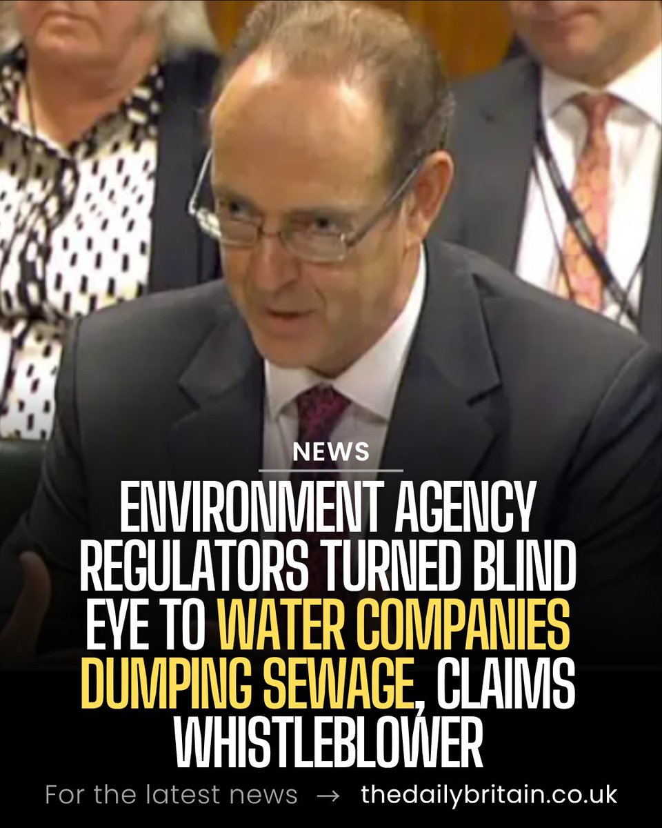 The Daily Britain tweet media