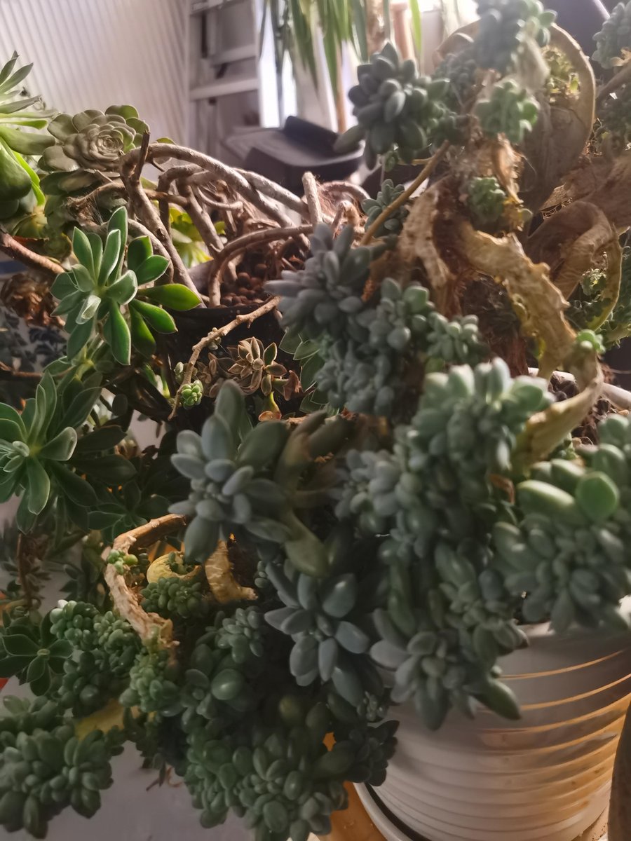 M.A. Slagle tweet media