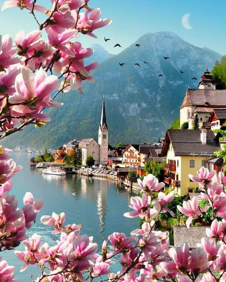 dany_grazia's tweet photo. ೃ⁀➷✿🤍 🥀🍃
_____ Good morning friends

  🌺🥀🍀🌷🌾🌸🌿🌺☕ https://t.co/iA6xCGKIhK