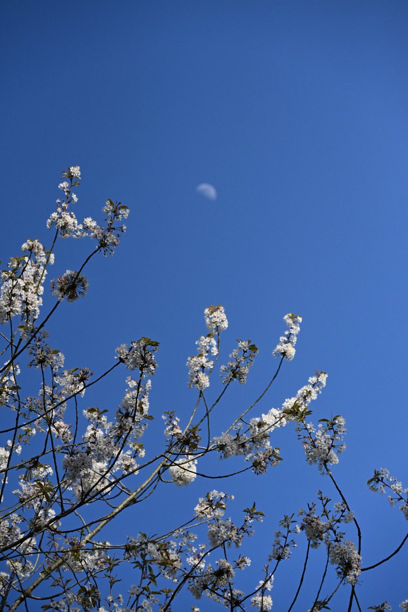 Geneviève HéryArnaud tweet media