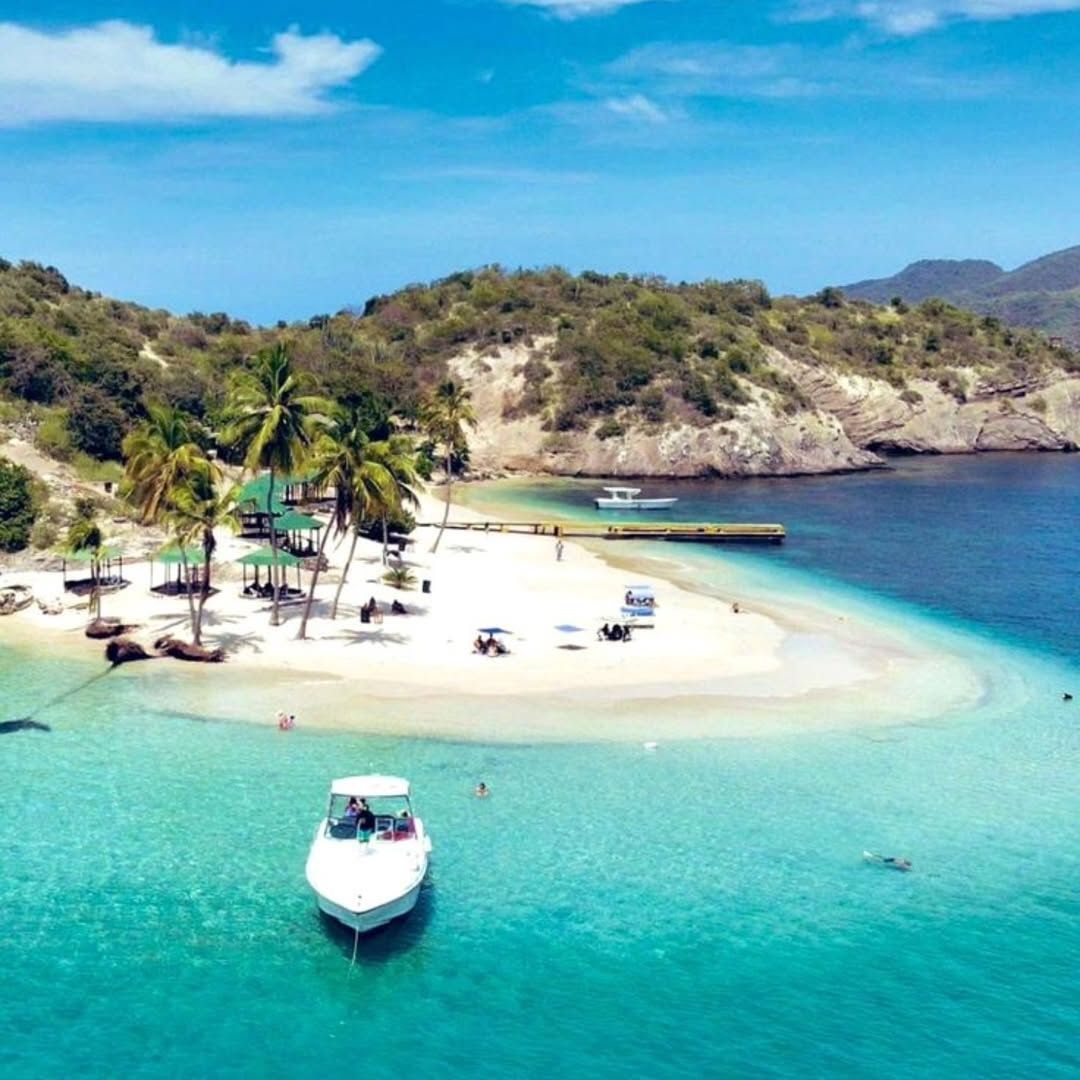 Revista Estampas tweet media