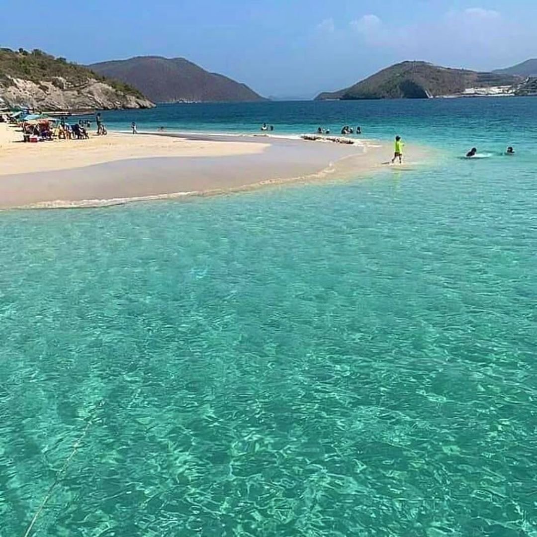 Revista Estampas tweet media