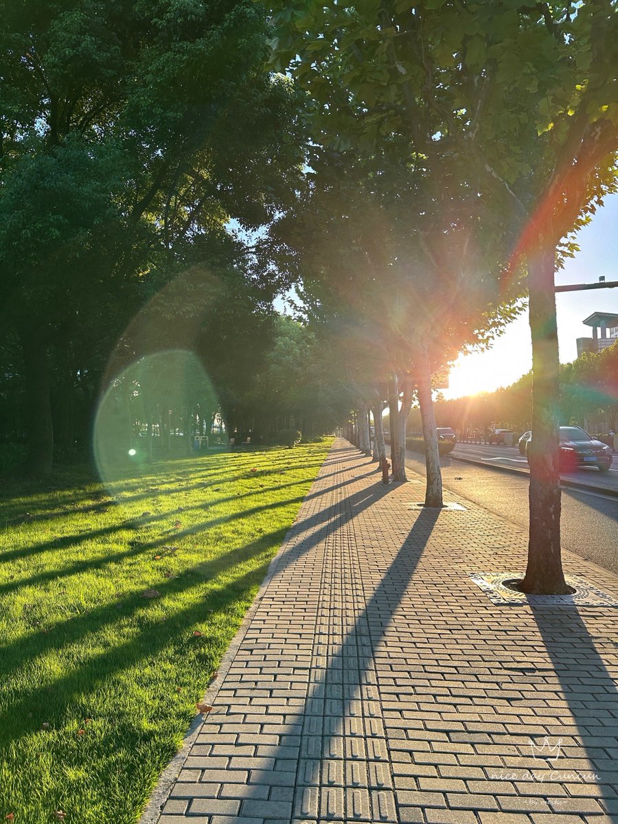 kurt van der gucht tweet media